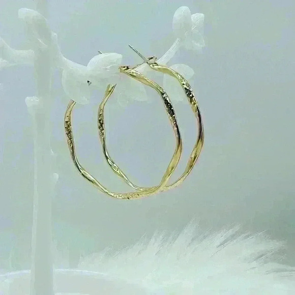 Women's Twisted Circle Design Hoop Earrings in Gold - Picture 1 of 5